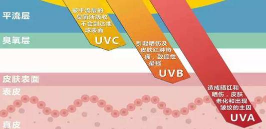 Untitled-2_clip_image005