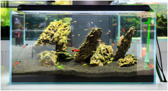 自動換水魚缸里會使用什么傳感器？