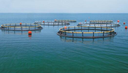 水產(chǎn)動物、植物和微生物的呼吸作用所消耗的溶氧