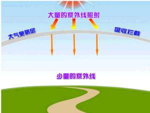 紫外線輻射計(jì)的工作原理及應(yīng)用