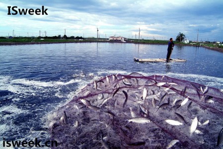 細數(shù)各大應(yīng)用在水產(chǎn)養(yǎng)殖領(lǐng)域中的傳感器