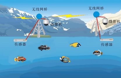 現(xiàn)代化水產(chǎn)養(yǎng)殖的綜合監(jiān)控系統(tǒng)