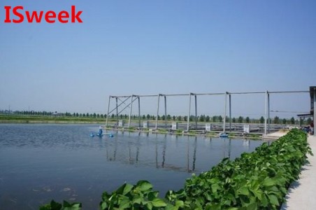 好氧微生物和厭氧微生物對于水產養殖的影響