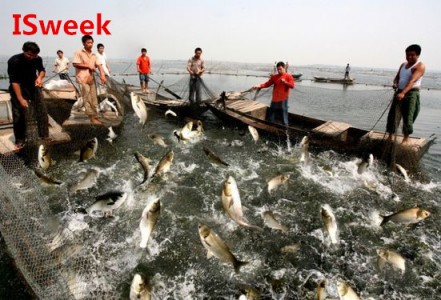 溶解氧在水產養殖領域應用中的注意事項