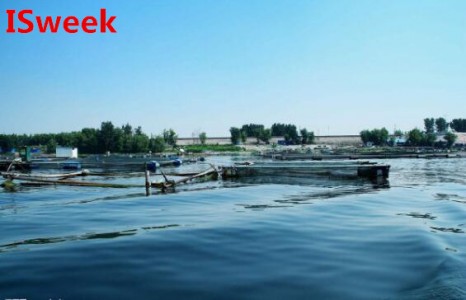 如何解決水產養殖亞硝酸鹽升高問題?