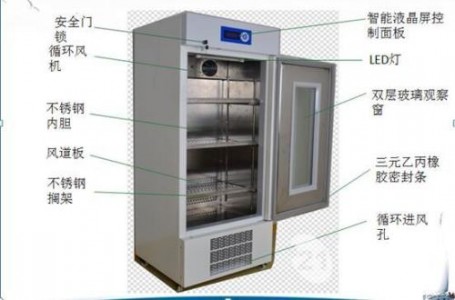 氧氣傳感器在微生物培養箱中的應用