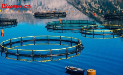 詳解溶解氧傳感器的工作原理及基本概念