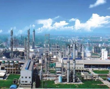 適用于石油化工行業(yè)的氣體質(zhì)量流量傳感器 - FS4000系列