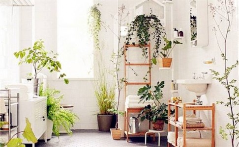 別再屏住呼吸!24小時的空氣質量管家,你不羨慕?