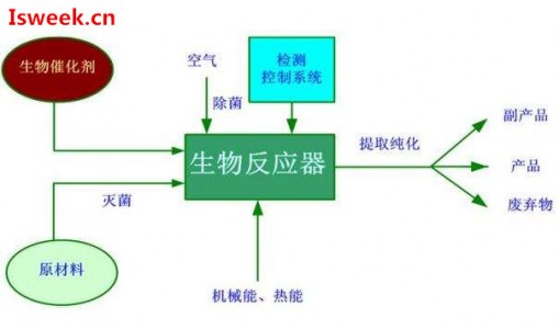 發(fā)酵過程中影響微生物生理代謝的溶解氧