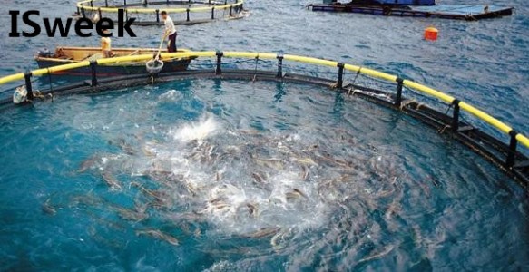 什么是溶解氧?怎么測量水中的溶解氧