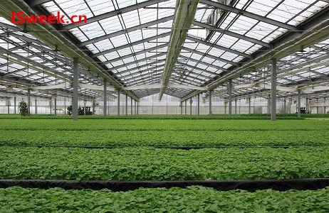 詳解溫室大棚中應(yīng)用到的幾類傳感器