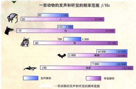 超聲波風速傳感器 - CV7-OEM測風界的后起之秀