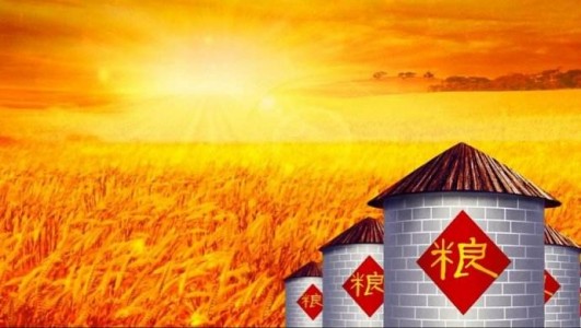 PH3氣體傳感器應用在糧倉殺蟲