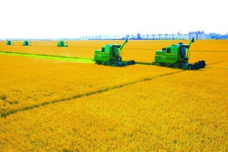 PH3傳感器在磷化氫凈化新技術工藝及廢水處理工藝中的應用