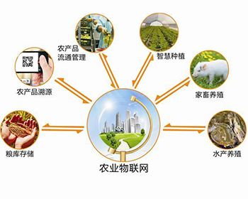 傳感器在智慧農(nóng)業(yè)物聯(lián)網(wǎng)溫室大棚監(jiān)控的作用