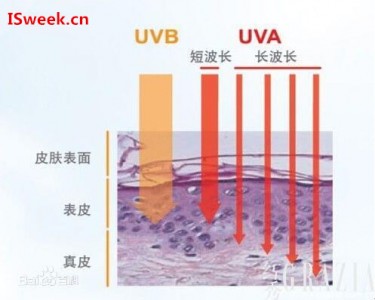 皮膚殺手紫外線UVA波段領域中應用的傳感器