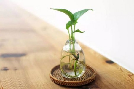 關于植物生長環境中空氣流量測量方法詳解