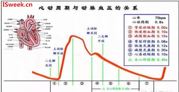 光纖壓力傳感器FOP-M260在動脈血壓監測的應用