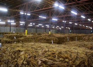 氣體傳感器在煙草氣調存儲方案的應用