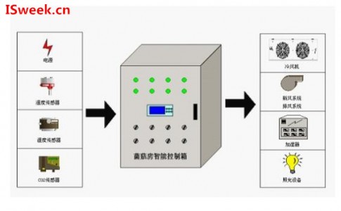 菌菇房環(huán)境監(jiān)測中的溫濕度傳感器技術(shù)運(yùn)用