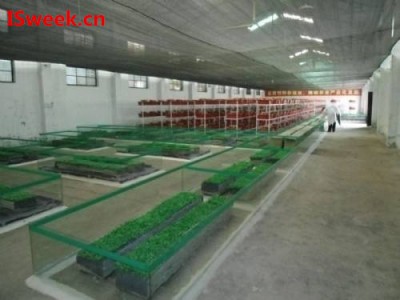 淺談溫濕度傳感器在孵化行業(yè)的應(yīng)用