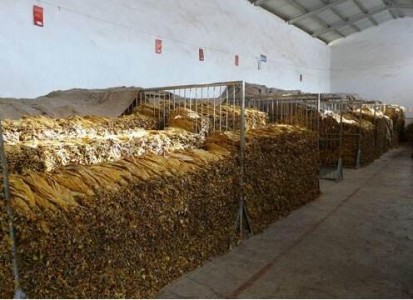 cael-s16傳感器應用于煙草保存環境中溫濕度的檢測