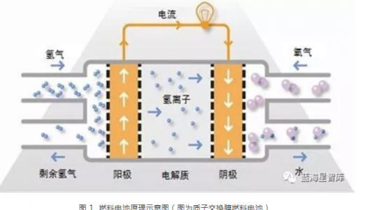 輪船用燃料電池系統中氫氣泄漏檢測傳感器模塊FSM-10H-01