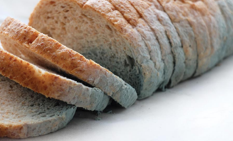 可以實(shí)時(shí)監(jiān)測(cè)食品是否腐敗用的傳感器