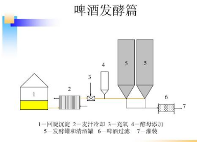 熱導式氣體傳感器用于發酵罐中檢測CO2濃度