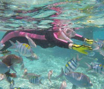 潛水裝備氦氣檢測中熱導式氣體傳感器的使用