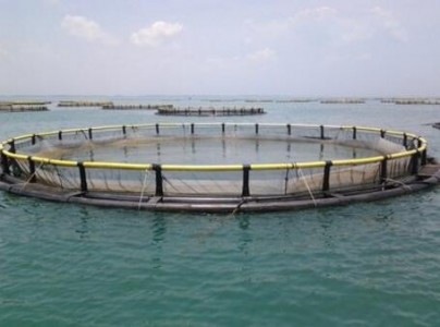 水產養殖為什么需要水質PH傳感器