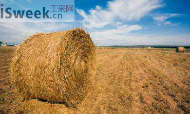 在生物質鍋爐中煙氣分析儀應用到的氣體傳感器