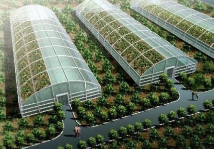 應用于農業大棚環境監測系統中的抗高濕溫濕度傳感器