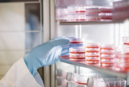 熱導式氣體傳感器用于二氧化碳培養箱CO2濃度監測