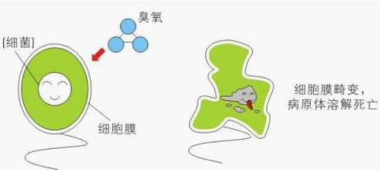 臭氧傳感器3SP_O3_20在臭氧消毒殺菌中的應用