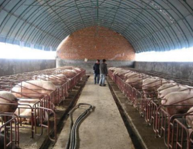 紅外二氧化碳傳感器ZG09在溫室養殖廠中的應用