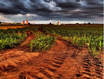紅外笑氣N2O傳感器模塊用于土壤中N2O濃度檢測