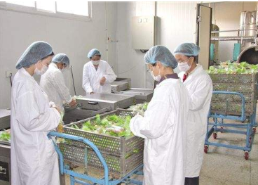 食品加工廠中甲烷傳感器和二氧化碳傳感器的應用