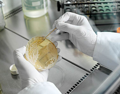 針對培養箱應用的高速響應的二氧化碳傳感器