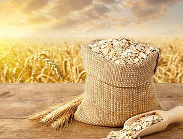 二氧化碳傳感器用于國家谷物糧食存儲