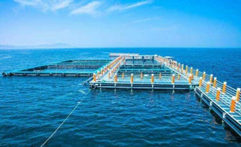 水質傳感器在海洋牧場水質檢測中的應用