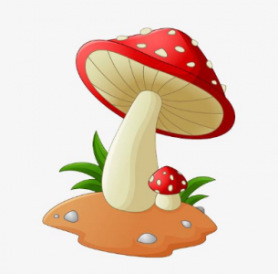 為何蘑菇種植大棚中要使用抗高濕二氧化碳傳感器模塊