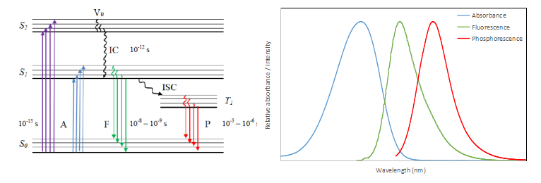 熒光氧氣傳感器工作原理簡介