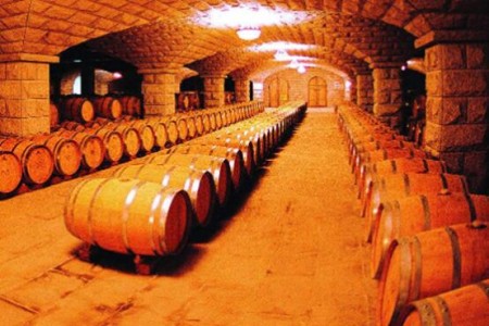 溫濕度探頭CAEL-S16用于酒窖環境溫濕度檢測