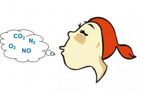 呼出氣一氧化氮（FeNO）檢測技術中NO傳感器的應用