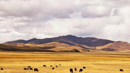 如何測試高原制氧機的氧氣濃度變化?