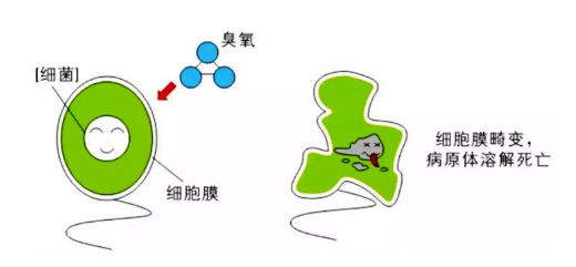 選擇臭氧傳感器值得注意的細節(jié)