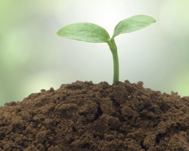 熱通量傳感器可以幫助檢測土壤熱通量分布情況