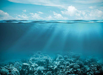 N2O傳感器用于海洋酸化過程中N2O含量檢測